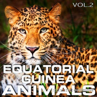Cloud Nine Records Equatorial Guinea Animals Vol.2