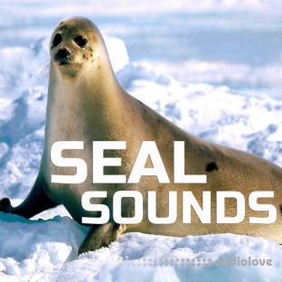 Cloud Nine Records Seal Sounds