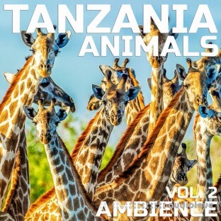 Cloud Nine Records Tanzania Animals Ambience Vol.2