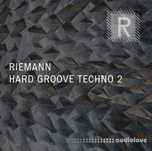 Riemann Kollektion Hard Groove Techno 2