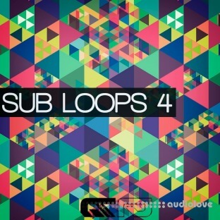 Micro Pressure Sub Loops 4