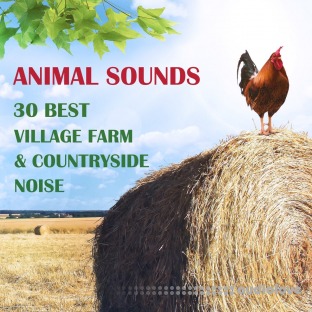 Background Music Records Animal Sounds 30 Best Village Farm and Countryside Noise from Europe
