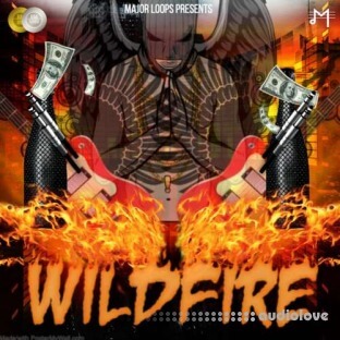 Major Loops Wildfire