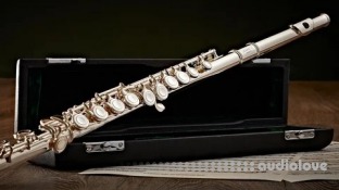 Udemy Flute For Beginners