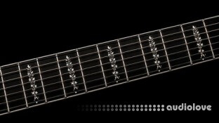 Udemy FretPro Fretboard in Octaves Technique