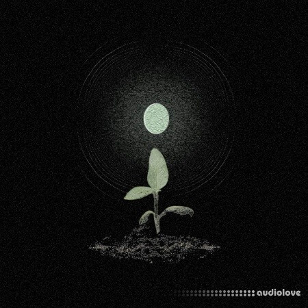 Jonnywood Earth (Multikit)