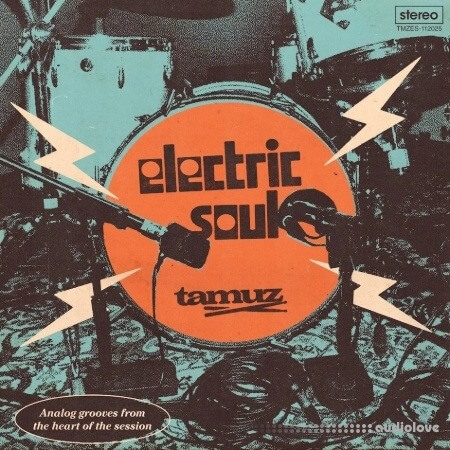 Tamuz Electric Soul A Soulquarian-Inspired Sample Pack