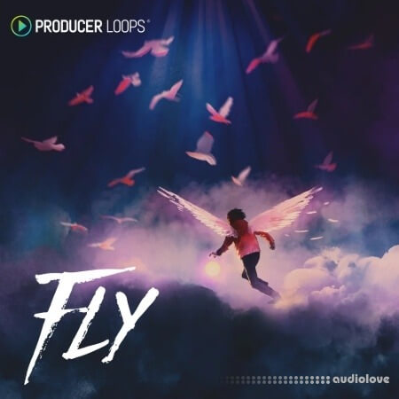 Producer Loops Fly
