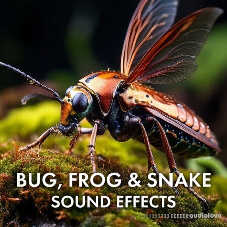 Sound Ideas Bug Frog and Snake Sound Effects