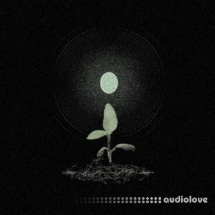 Jonnywood Earth (Multikit)
