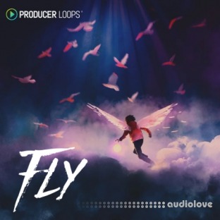 Producer Loops Fly