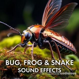 Sound Ideas Bug Frog and Snake Sound Effects