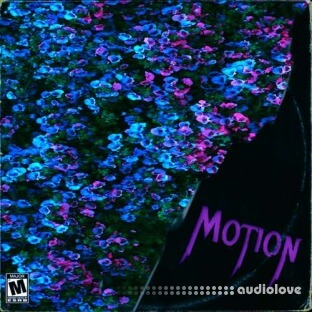 Major Loops Motion