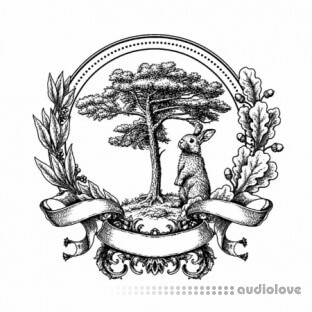 R8 Roots Drum Kit