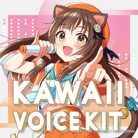 Riconoshop Kawaii Voice Kit Ver1.00