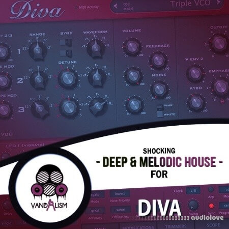 Vandalism Shocking Deep and Melodic House For Diva