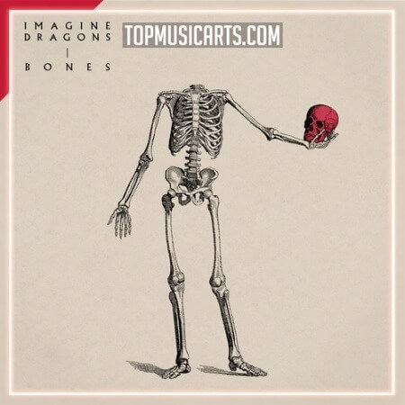 Top Music Arts Imagine Dragons Bones Ableton Remake (Pop)