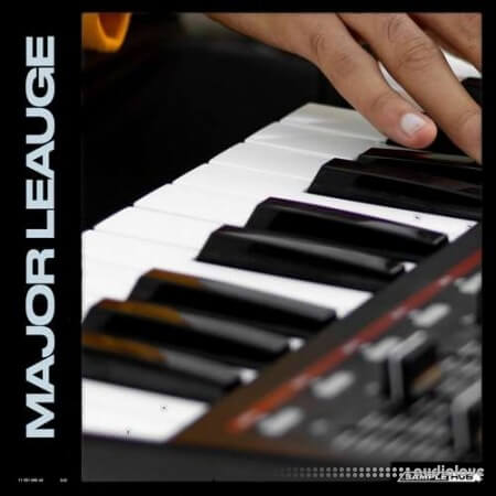 Sample Hub Major Leauge